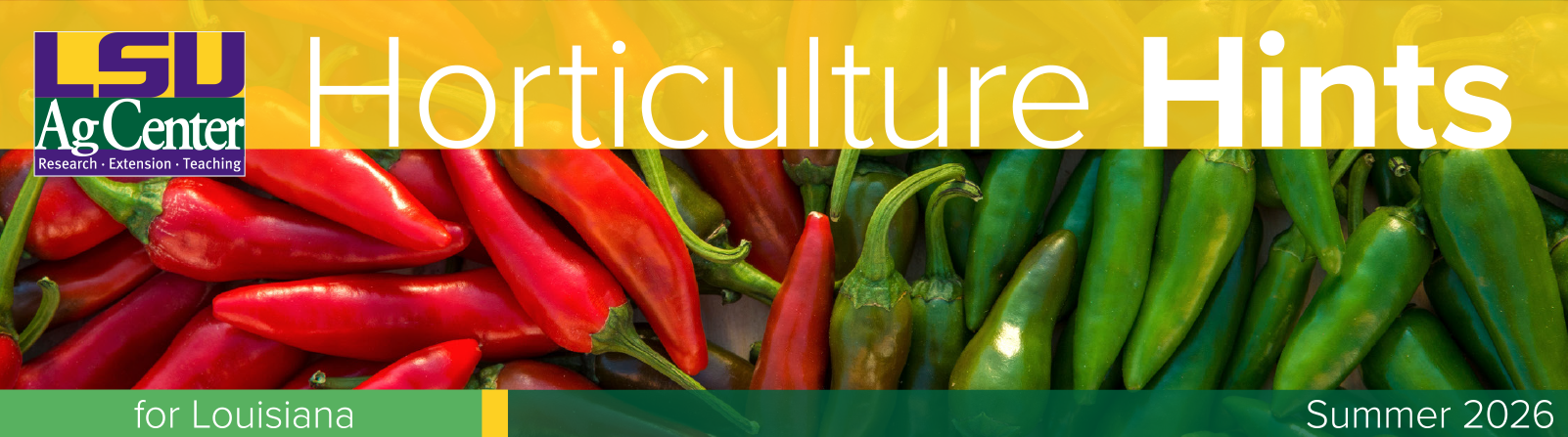 Horticulture Hints banner. Summer 2026
